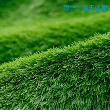 广州多彩网体育：仿真塑胶草